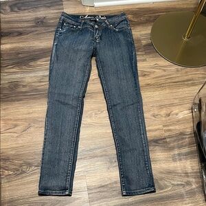 Avenue Women's Dark Blue Skinny Jeans - Classic Slim Fit